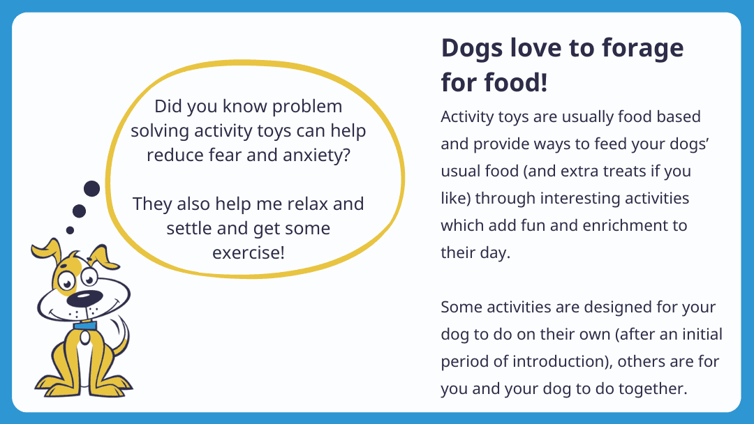 Activity Toys_Header3
