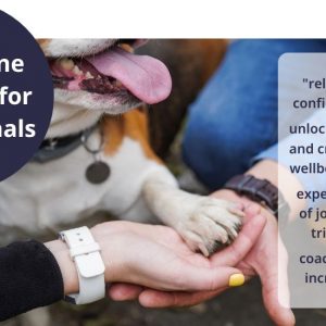 Canine Thinking Pro – 60 mins – Coaching with Lisa