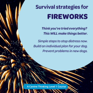 Survival strategies for fireworks - a Canine Thinking Level 1 course. Think you’ve tried everything? This WILL make things better. Simple steps to stop distress now. Build an individual plan for your dog. Prevent problems in new dogs.