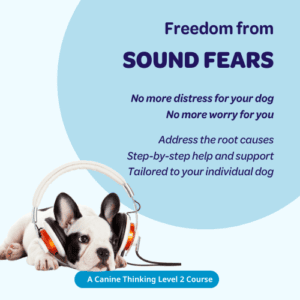Freedom from Sound Fears - a Canine Thinking Level 2 course. No more distress for your dog. No more worry for you. Address the root causes. Step-by-step help and support Tailored to your individual dog