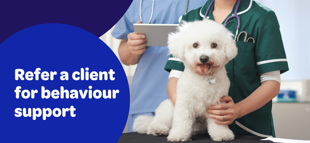 Header_ReferaAClientVet_Narrow Refer a client for behaviour support