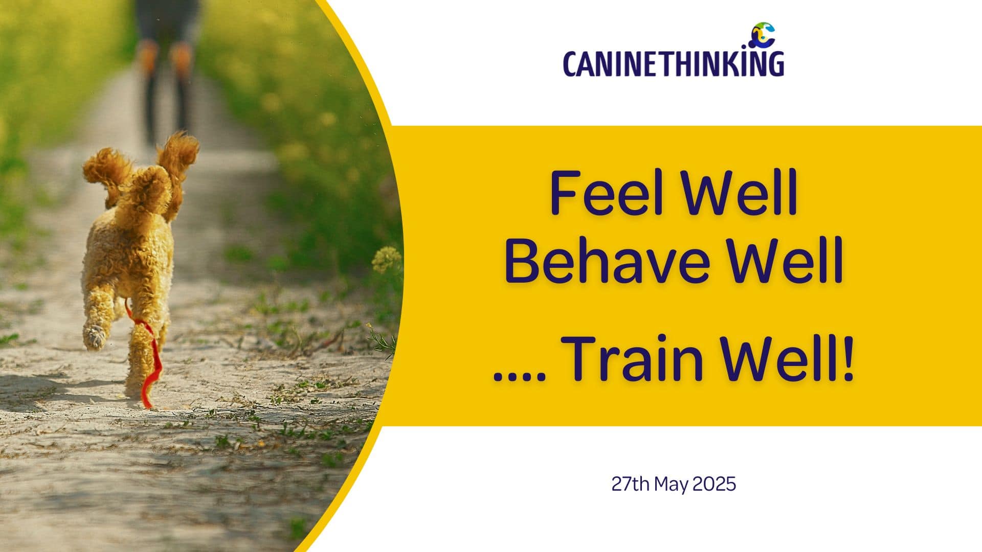 Feel Well, Behave Well, Train Well