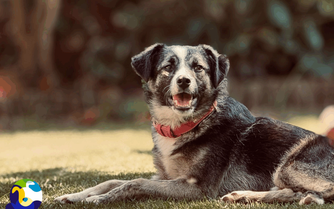 When Worms Were the Missing Piece: Sanna’s Story