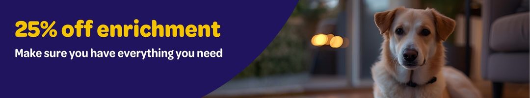 Calm Starts Here. 25% off all activity toys and enrichment Picture of a fawn and white dog with a soft, face, lying on a rug, feeling relaxed as it goes dark outside and fireworks begin to start. Fireworks are coming. Calm Starts Here.