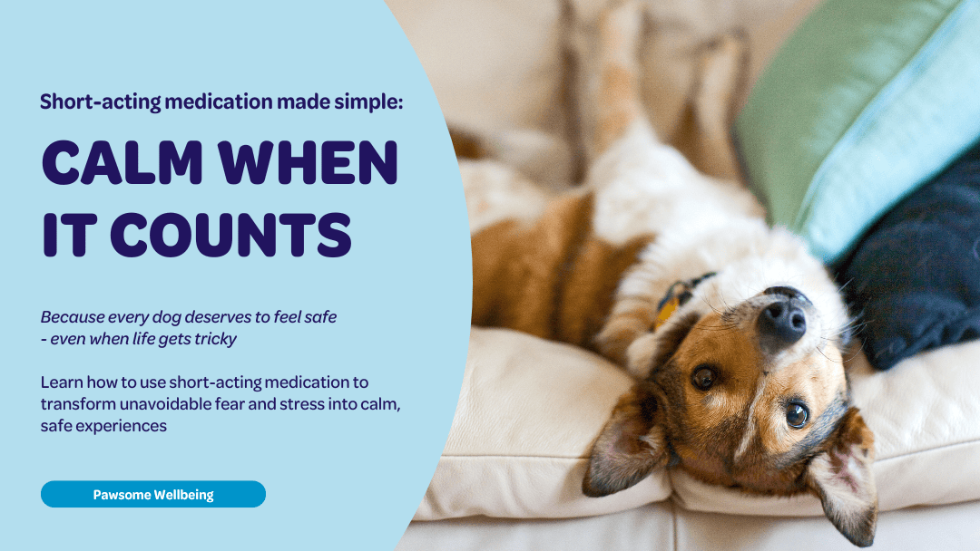 Learn how to use short-term medication to transform unavoidable fear and stress into calm, safe experiences