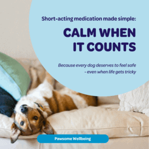 Learn how to use short-term medication to transform unavoidable fear and stress into calm, safe experiences