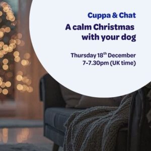 A calm living room with soft Christmas lights, used as the header image for a relaxed Christmas cuppa and chat for dog guardians