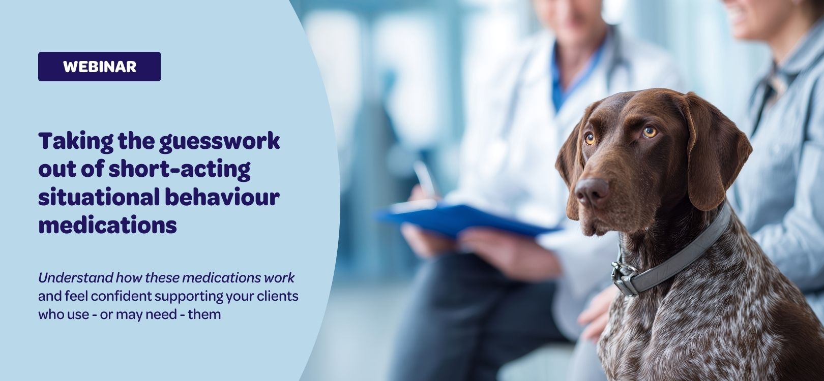Taking the guesswork out of short-acting situational behaviour medications – dog at the vet with behaviour professional and vet team in the background