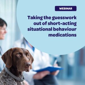 Taking the guesswork out of short-acting situational behaviour medications – dog at the vet with behaviour professional and vet team in the background