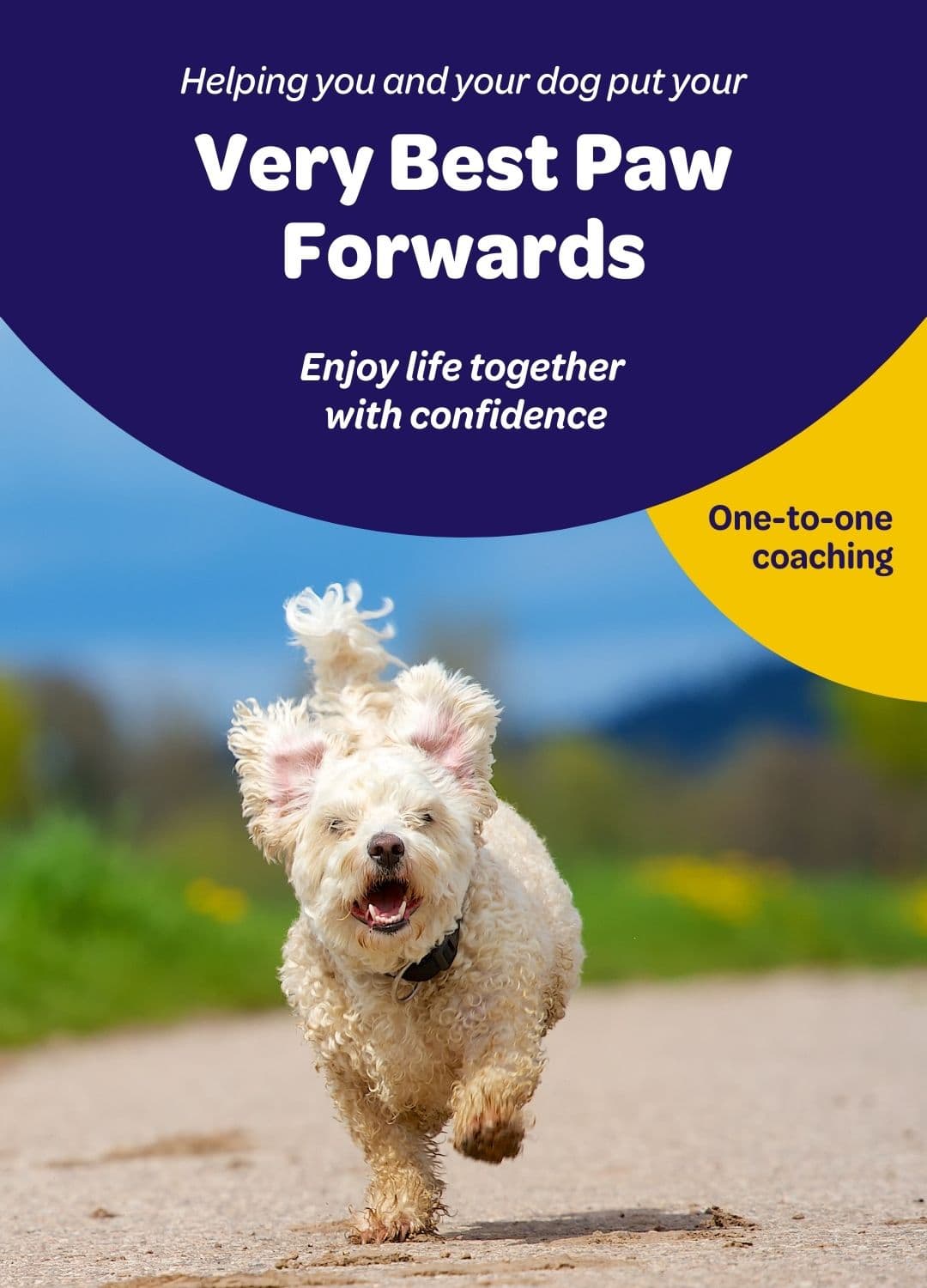 Small white dog running happily along an outdoor path, mid-stride, with a soft blurred background