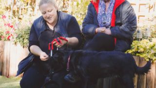 Behaviourist supporting a dog and guardians during a calm one-to-one behaviour session in a garden setting
