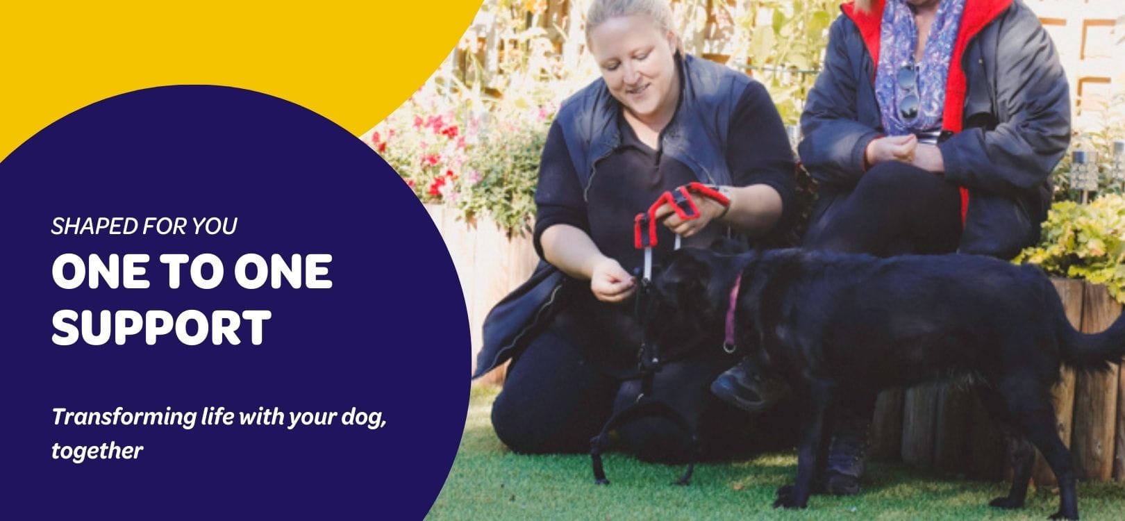 A behaviourist supporting a guardian and their dog during a calm, practical one-to-one session in a garden setting.